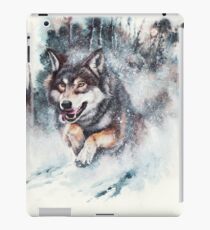 SnowStorm iPad Case/Skin