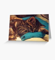 Kittens Greeting Card