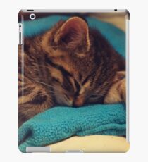 Kittens iPad Case/Skin