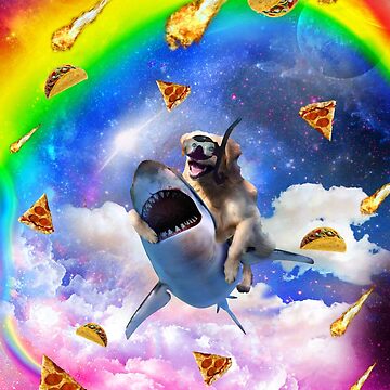 cat riding shark rainbow