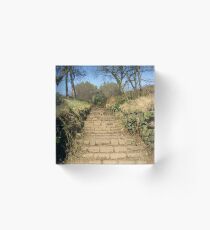 Rivington steps Acrylic Block