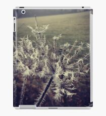 Frozen iPad Case/Skin