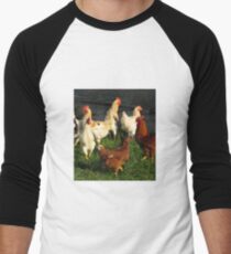 Poultry Men's Baseball ¾ T-Shirt