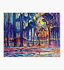 Mondrian Woods Near Oele Photographic Print