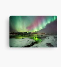 Ice and the Northern Lights Metal Print