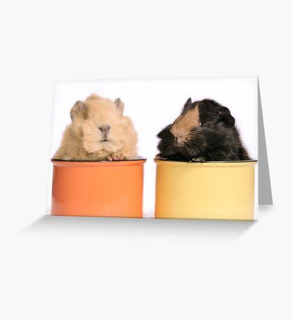 Pig: Greeting Cards | Redbubble