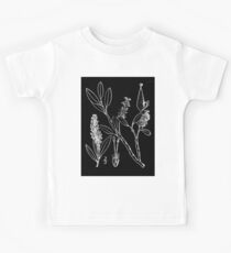 Britton And Brown Illustrated flora of the northern states and Canada 1317 Salix phlebophylla01 Kids Tee
