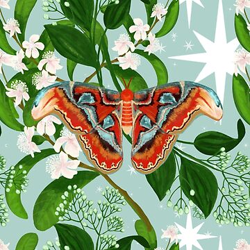 Artwork thumbnail, Atlas Moth in the Stars by MeganSteer