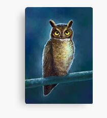 Night Owl Leinwanddruck