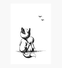 Fox and a rabbit Photographic Print