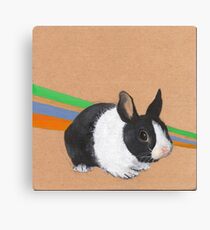 Rabbit Canvas Print
