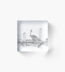 Brown Pelican Acrylic Block