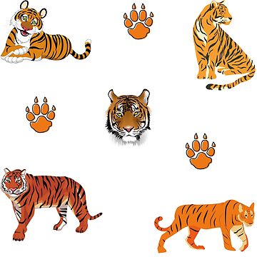 Tiger Paws Clipart Images, Free Download