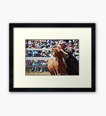Mary Williams - Brumby Catch Framed Print