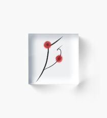Flowers from japan. Acrylic Block