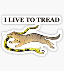 Pegatina VIVO PARA PISAR- MONGOOSE