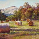 'Coulson's Hay' by Lynda Robinson