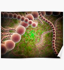 Mikroskopische Ansicht von Streptococcus pneumoniae. Poster