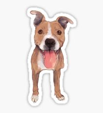 Pegatina Etiqueta engomada de Pitbull Steeley
