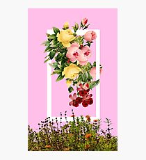 Flowers Photographic Print