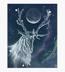 Stag Constellation Photographic Print