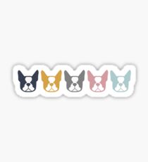 Boston Terrier in einer Reihe - mehrfarbige Boston-Hunde: Farbserie 2 Sticker