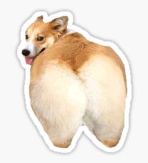 Corgi Butt Sticker