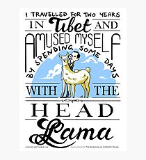 The Head Llama - Colour Photographic Print