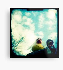 Wedding ducks Metal Print