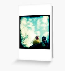 Wedding ducks Greeting Card