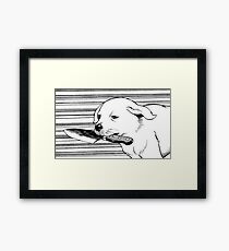 Knife Dog Framed Print