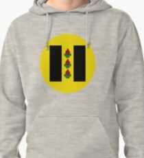 Wetzikon Coat of arms Pullover Hoodie