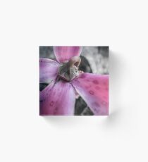 Shades Of Purple And Pink Acrylic Block