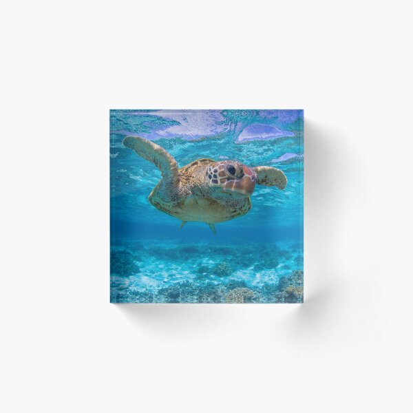 Checking you out Acrylic Block