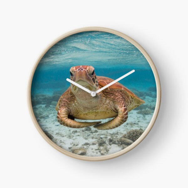 Turtle yoga pose Clock