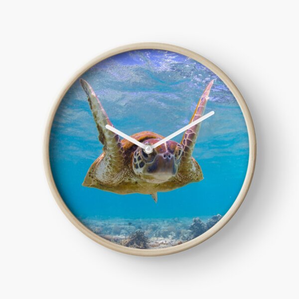 Joyful turtle - print Clock