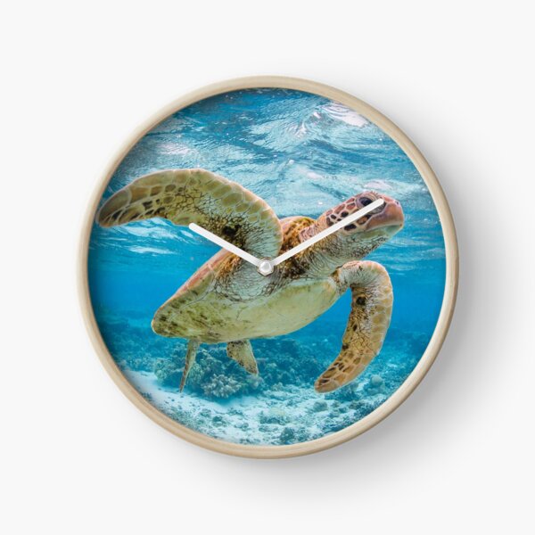 Turtle star Clock