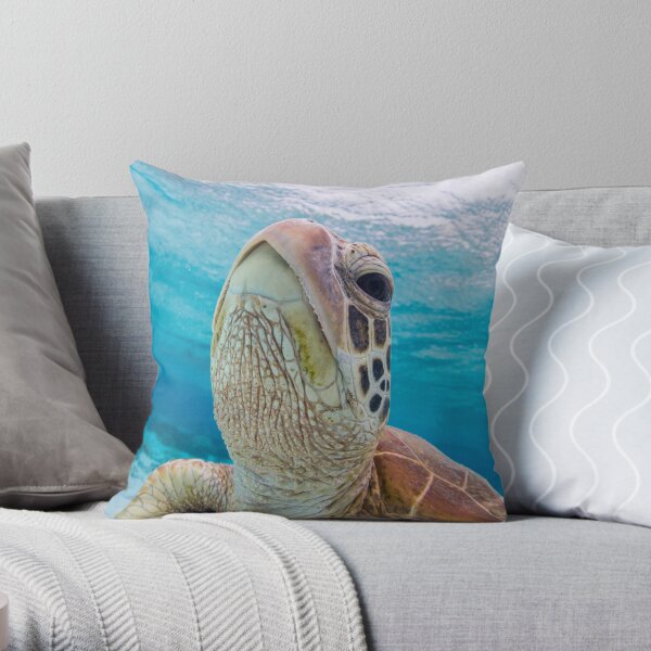Turtle close-up Throw Pillow