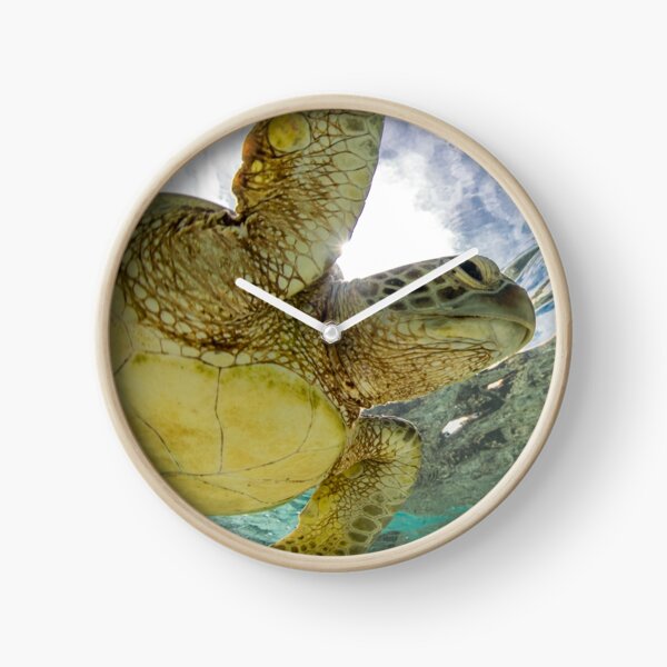 Hopeful turtle - print Clock