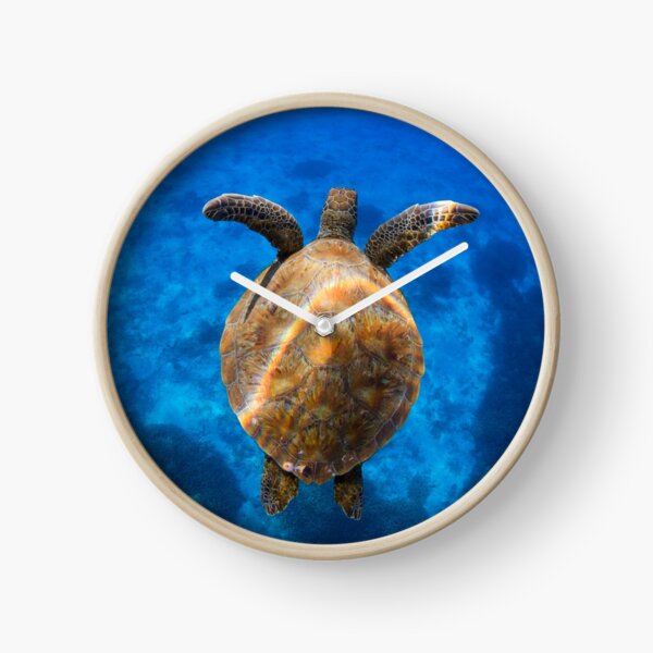 Cruising turtle - print Clock