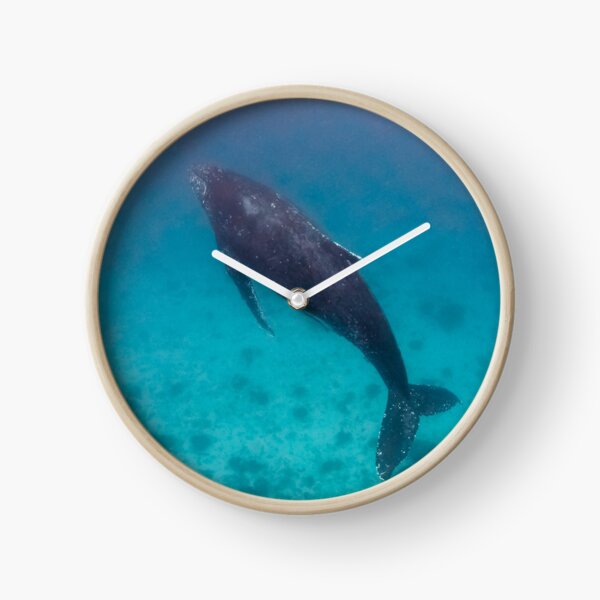 Whale wonders - print Clock