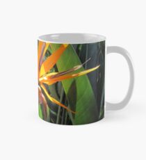 Taza clásica Bird of paridise