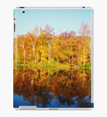 Mirror Mirror iPad Case/Skin