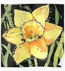 Spring Daffodil Poster