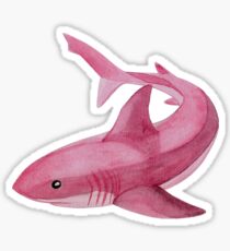Shark in pink Sticker