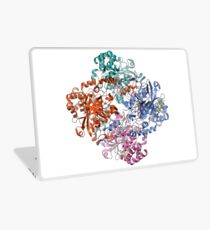 Vinilo para portátil proteína catalasa