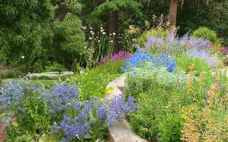 "Perennial Border" Posters by Jeanette Varcoe. | Redbubble