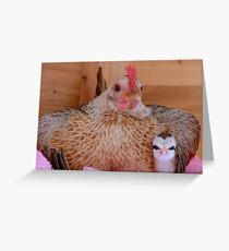 Are We There Yet Mum? - Silver-Duckwings - NZ Greeting Card