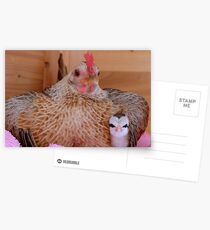 Are We There Yet Mum? - Silver-Duckwings - NZ Postcards