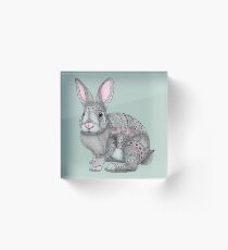 Hase Acrylblock